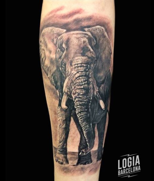 Tatuajes de elefante Realista Logia Barcelona