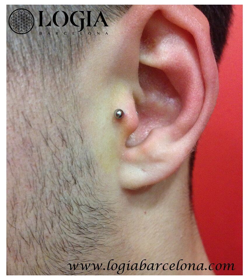 Responder alarma construir ᐅ Piercing Tragus: Todo sobre este piercing | Logia Piercing & Tattoo