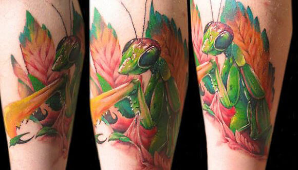 Tatuajes de mantis religiosa: una peculiar forma de belleza