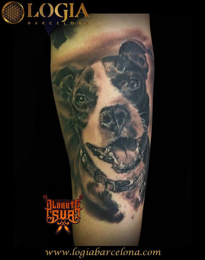 Tatuaje de perro Logia Barcelona