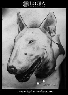 Tatuajes de pitbulls