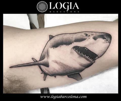 tatuaje de tiburon blanco Logia Barcelona