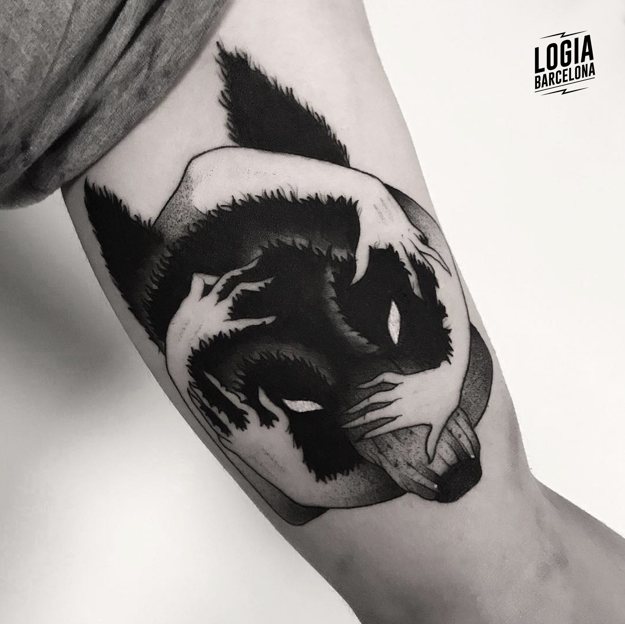 Hombre lobo CURADO!! by @male.ink... - MALE INK Tattoo Studio | Facebook