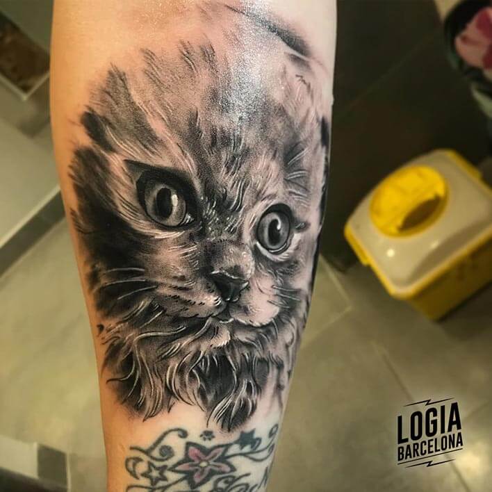 Tatuaje de ojos de gato realista Logia Barcelona