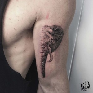tatuaje_brazo_elefante_logiabarcelona_davids