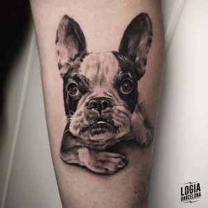 tatuaje_pierna_perro_pequeño_logiabarcelona_davids 