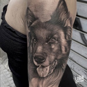 tatuaje_brazo_perro_logiabarcelona_doows