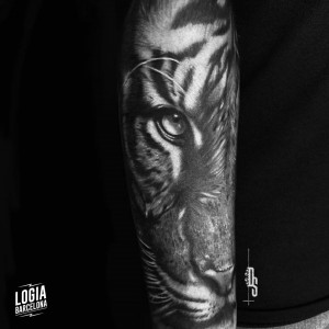 tatuaje_brazo_tigre_logiabarcelona_doows