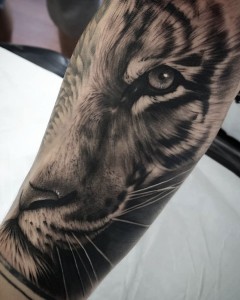 tatuajes_realistas_tigre