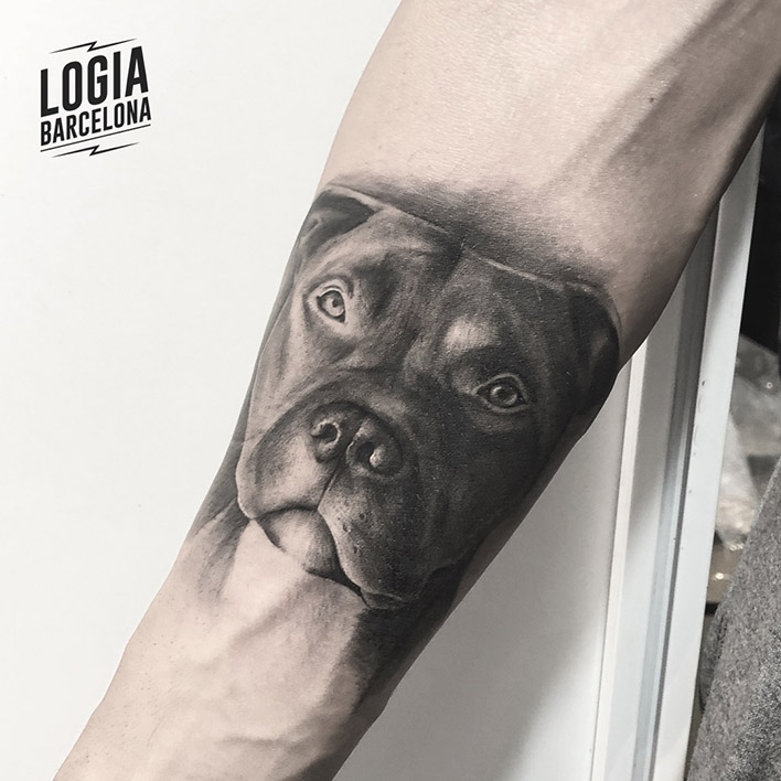 Tatuaje realista perro Retrato Brazo Logia Barcelona