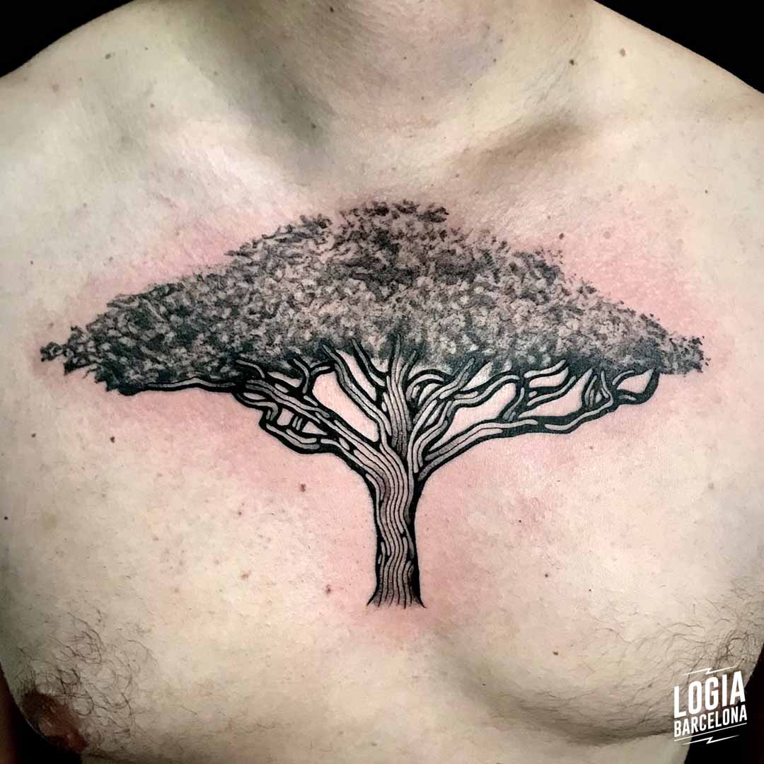  20 Best Acacia Flower and Tree Tattoo Designs  Meaning and Ideas