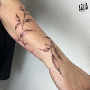 tatuaje_brazo_plantas_hojas_logiabarcelona_mar