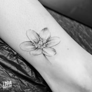tatuaje_tobillo_flor_logiabarcelona_mar
