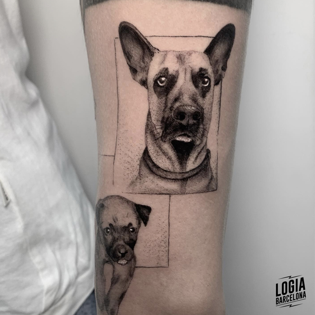 belgian malinois tattoo  Best sleeve tattoos Dog memorial tattoos German  shepherd tattoo