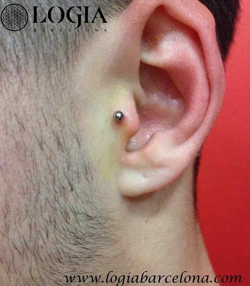 Consejos para cuidar las dilataciones en las orejas - Tatuajes y piercings  L'Embruix