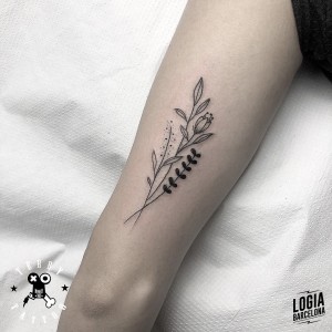 tatuaje_brazo_espigas_terry_logiabarcelona 
